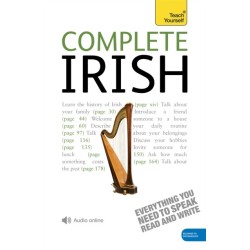 Complete Irish Beginner to Intermediate Book and Audio Course: Learn to read, write, speak and understand a new language with Teach Yourself