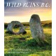 Wild Ruins BC: The explorer’s guide to Britain’s ancient sites