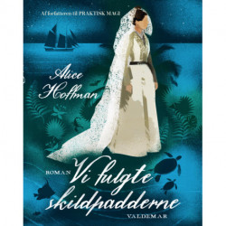 Vi fulgte skildpadderne