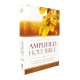 Amplified Outreach Bible, Paperback: Capture the Full Meaning Behind the Original Greek and Hebrew