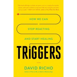 Triggers: How We Can Stop Reacting and Start Healing