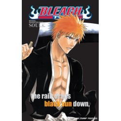 Bleach SOULs. Official Character Book