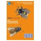 RSPB ID Spotlight - Bees