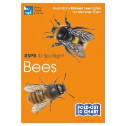RSPB ID Spotlight - Bees