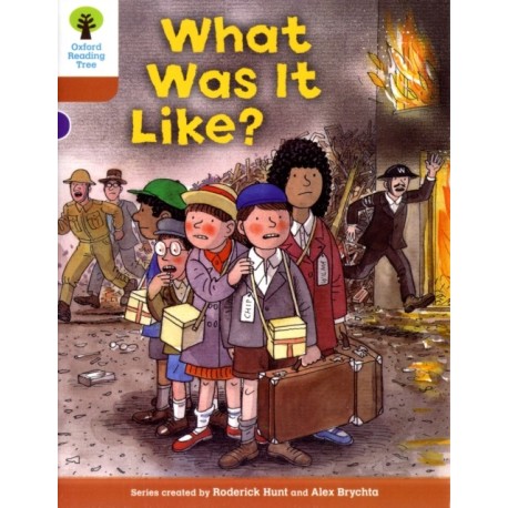 Oxford Reading Tree: Level 8: More Stories: What Was It Like?