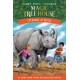 Rhinos at Recess