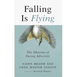 Falling is Flying: The Dharma of Facing Adversity