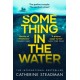 Something in the Water: The Gripping Reese Witherspoon Book Club Pick!