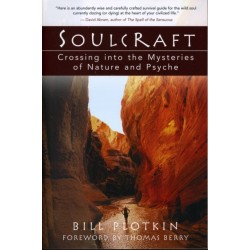 Soulcraft: Crossing into the Mysteries of Nature and Psyche