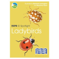 RSPB ID Spotlight - Ladybirds