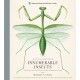 Innumerable Insects: The Story of the Most Diverse and Myriad Animals on Earth