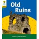 Oxford Reading Tree: Floppy's Phonics Decoding Practice: Oxford Level 5: Old Ruins