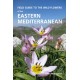 Field Guide to the Wild Flowers of the Eastern Mediterranean