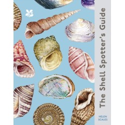 The Shell Spotter’s Guide