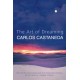 The Art of Dreaming