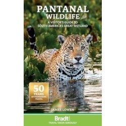 Pantanal Wildlife: A Visitor's Guide to South America's Great Wetland