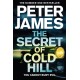 The Secret of Cold Hill