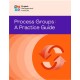 Process Groups: A Practice Guide: A Practice Guide