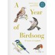 A Year of Birdsong: 52 Stories of Songbirds