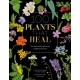 100 Plants That Heal: The Illustrated Herbarium of Medicinal Plants