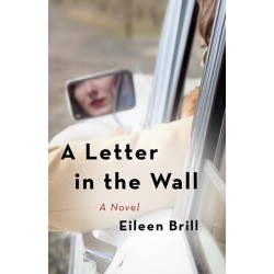 A Letter in the Wall: A Novel