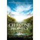 The Celestine Prophecy: how to refresh your approach to tomorrow with a new understanding, energy and optimism