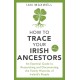 How to Trace Your Irish Ancestors 3rd Edition: An Essential Guide to Researching and Documenting the Family Histories of Ireland's People