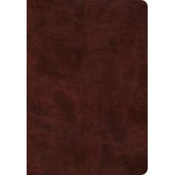 ESV Super Giant Print Bible