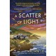 A Scatter of Light: from the author of Last Night at the Telegraph Club
