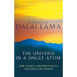 The Universe In A Single Atom: How science and spirituality can serve our world