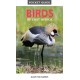 Pocket Guide to Birds of East Africa
