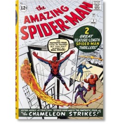 Marvel Comics Library. Spider-Man. 1962–1964