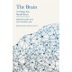 The Brain: 10 Things You Should Know