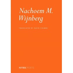 Nachoem M. Wijnberg