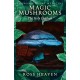 Shamanic Plant Medicine - Magic Mushrooms: The Holy Children