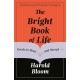 The Bright Book of Life: Novels to Read and Reread