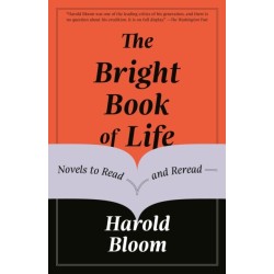 The Bright Book of Life: Novels to Read and Reread
