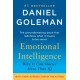 Emotional Intelligence: Why It Can Matter More Than IQ