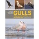 Gulls of Europe, North Africa, and the Middle East: An Identification Guide