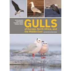 Gulls of Europe, North Africa, and the Middle East: An Identification Guide