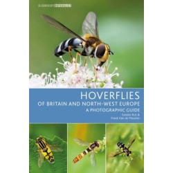Hoverflies of Britain and North-west Europe: A photographic guide