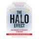 The Halo Effect: How Managers let Themselves be Deceived