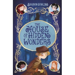 The The House of Hidden Wonders
