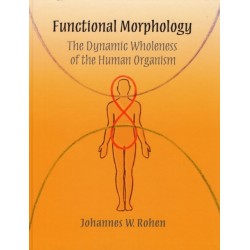 Functional Morphology: The Dynamic Wholeness of the Human Organism