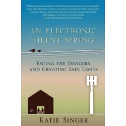 An Electronic Silent Spring: Facing the Dangers and Creating Safe Limits