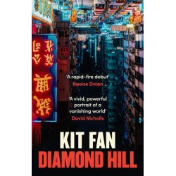 Diamond Hill: Totally unputdownable and evocative literary fiction