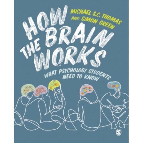 How the Brain Works: What Psychology Students Need to Know