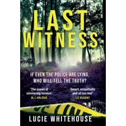 Last Witness: The brand new crime thriller that will keep you up all night