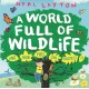 A Eco Explorers: A World Full of Wildlife: and how you can protect it