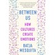 Between Us: How Cultures Create Emotions